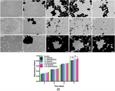 Differentiation of Bone Mesenchymal Stem Cells Into Vascular Endothelial Cell-Like Cells Using Functionalized Single-Walled Carbon Nanotubes